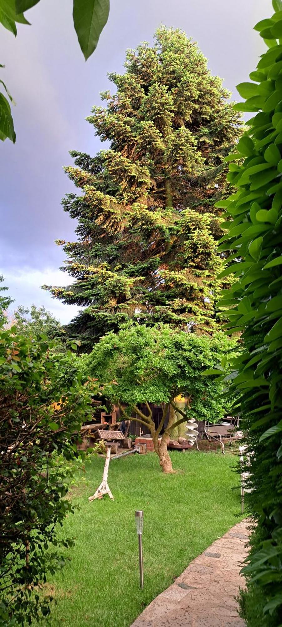 All-In-One Apartment Mit Eigener Sonnenterrasse Im Garten 杜塞尔多夫 外观 照片