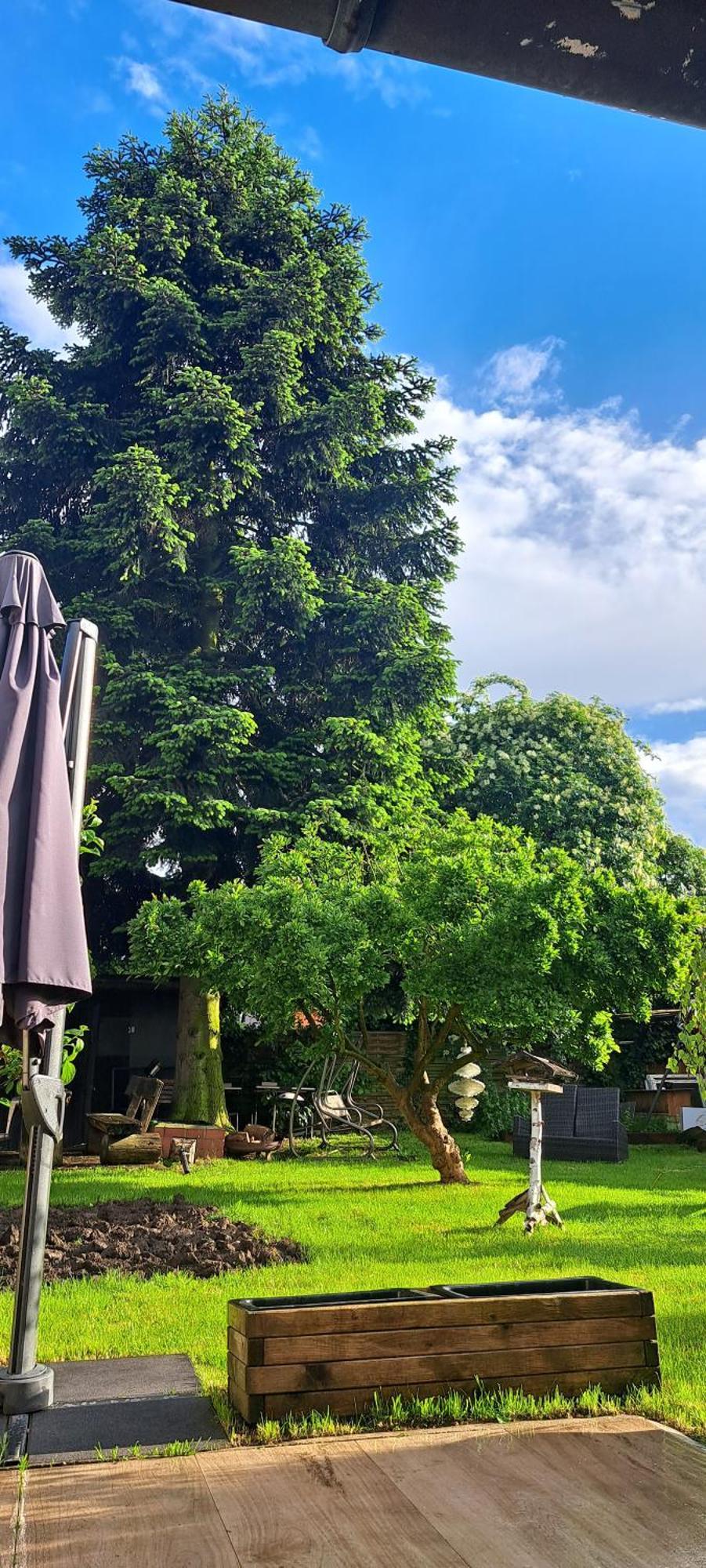 All-In-One Apartment Mit Eigener Sonnenterrasse Im Garten 杜塞尔多夫 外观 照片